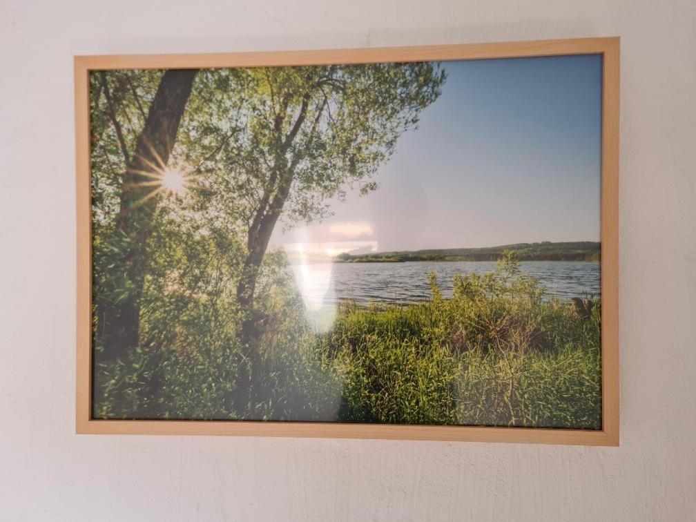 Ferienhaus Finca De Vida Y Luz Auderath Eksteriør billede