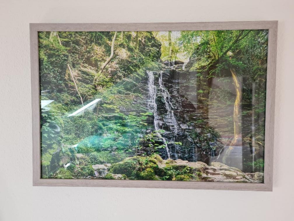 Ferienhaus Finca De Vida Y Luz Auderath Eksteriør billede